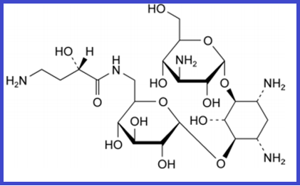AMIKACIN EP IMPURITY E